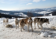 DSC_4979.jpg