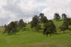 Zlatibor