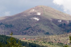 Zlatibor