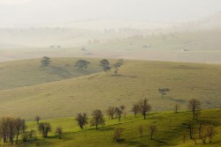 Zlatibor