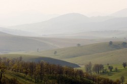 Zlatibor