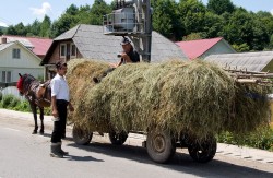 Bukowina, czas na piwko