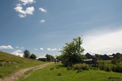Droga do Pleszy - wieś polska
