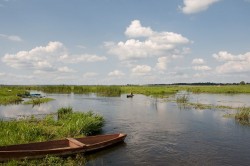 Nad Narwią