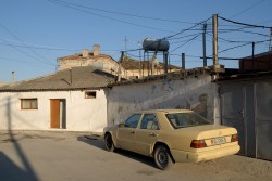 Albania, Flora i "słynny "mercedes