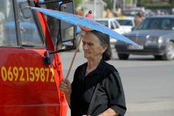 Albania, Flora