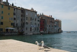 Rovinj