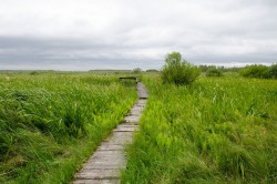 Bagno - Kopytkowo