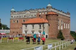 Golub - Dobrzyń