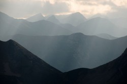 DSC_0403