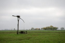 DSC_1868