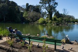 Golden Gate Park