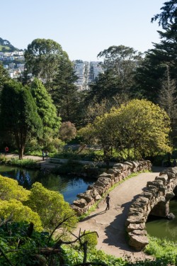 Golden Gate Park