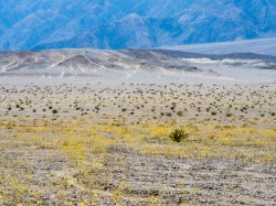 Death Valley