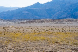 Death Valley