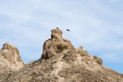 Trona Pinnacles