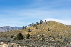 Góry Sierra Nevada