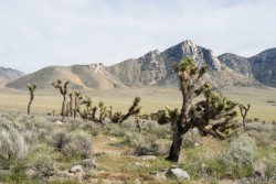 Góry Sierra Nevada