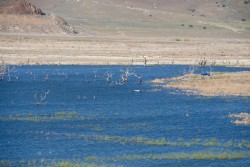 Lake Isabella