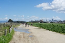 Crissy Field