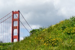 Golden Gate Bridge