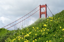 Golden Gate Bridge