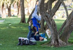 Dolores Park