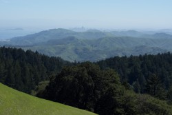 Mt Tamalpais State Park