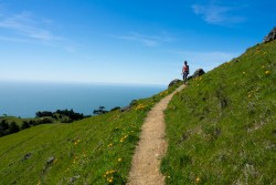 Mt Tamalpais State Park