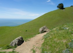 Mt Tamalpais State Park