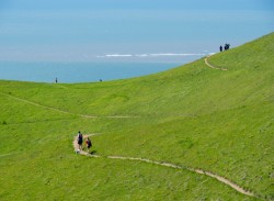 Mt Tamalpais State Park