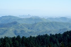 Mt Tamalpais State Park