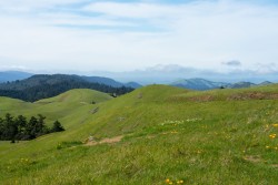 Mt Tamalpais State Park