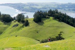 Mt Tamalpais State Park