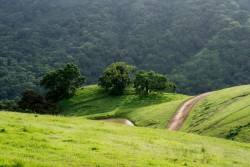 Pleasanton Ridge Regional Park