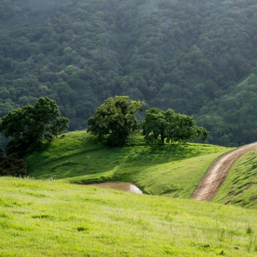 Pleasanton Ridge Regional Park