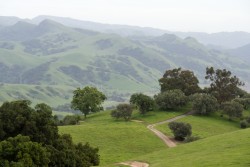 Pleasanton Ridge Regional Park