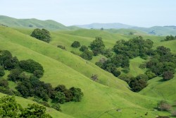 Pleasanton Ridge Regional Park