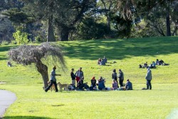 Golden Gate Park