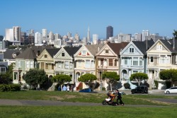 Painted Ladies