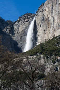 Lower Yosemite Fall