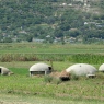 Albania i słynne bunkry
