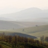 Zlatibor