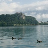Bled