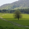 Beskid