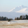 Widok na Tatry