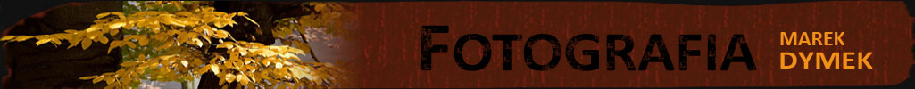 Fotografia Marek Dymek